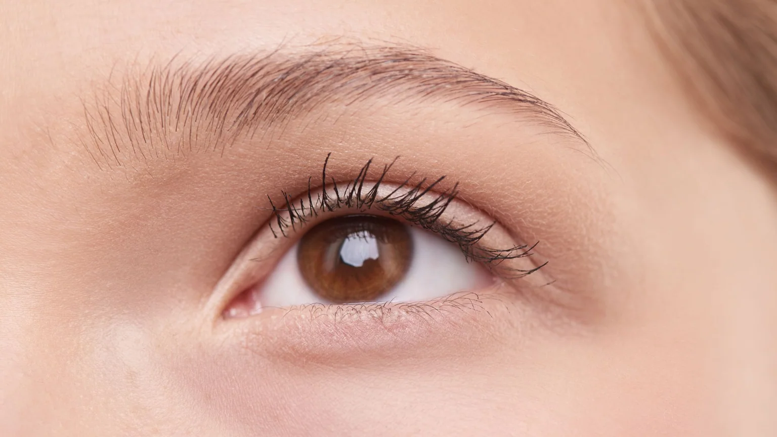 Eyebrow shapes guide shown with a real close-up of a natural brow and eye