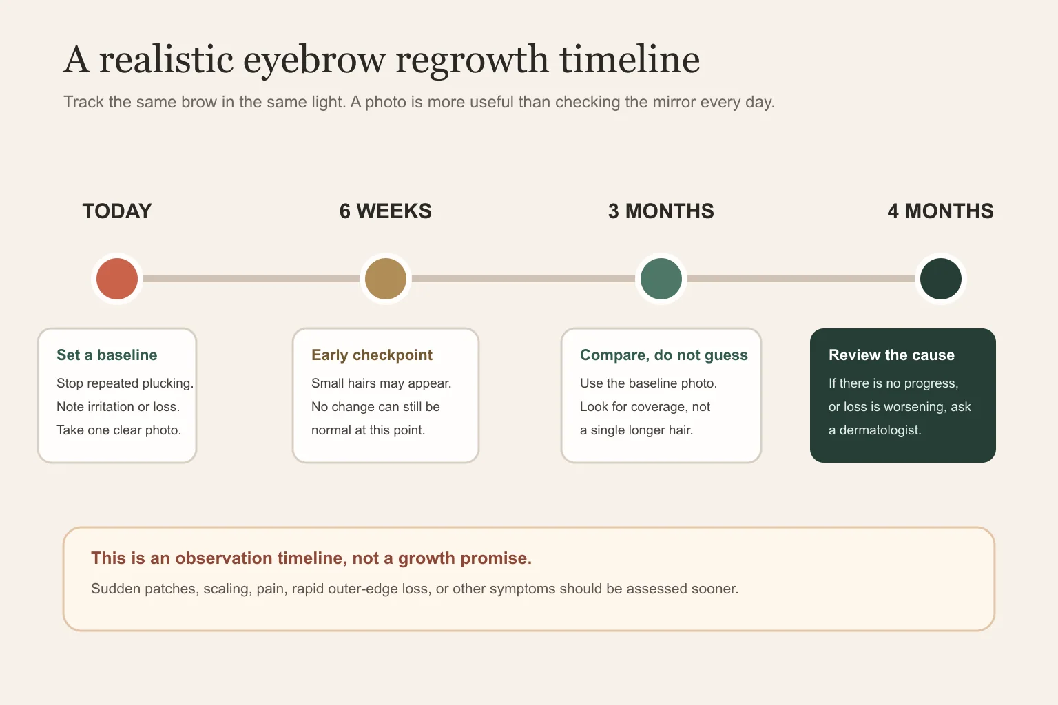 Realistic timeline for tracking eyebrow regrowth over four months