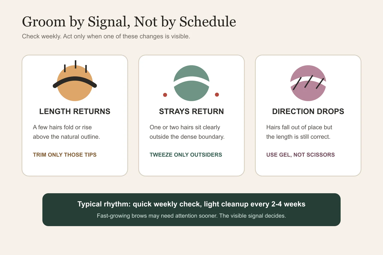 Maintenance signals showing how often men should groom eyebrows