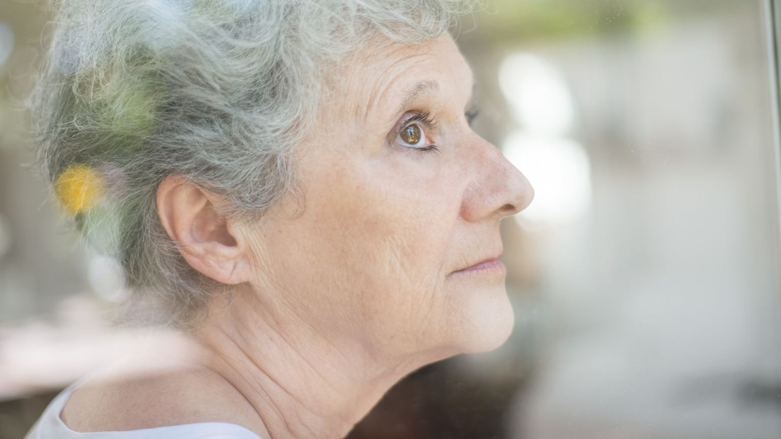 Gray eyebrows guide showing naturally silver brows and gray hair in daylight